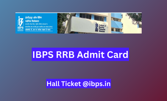 IBPS RRB Admit Card 2024