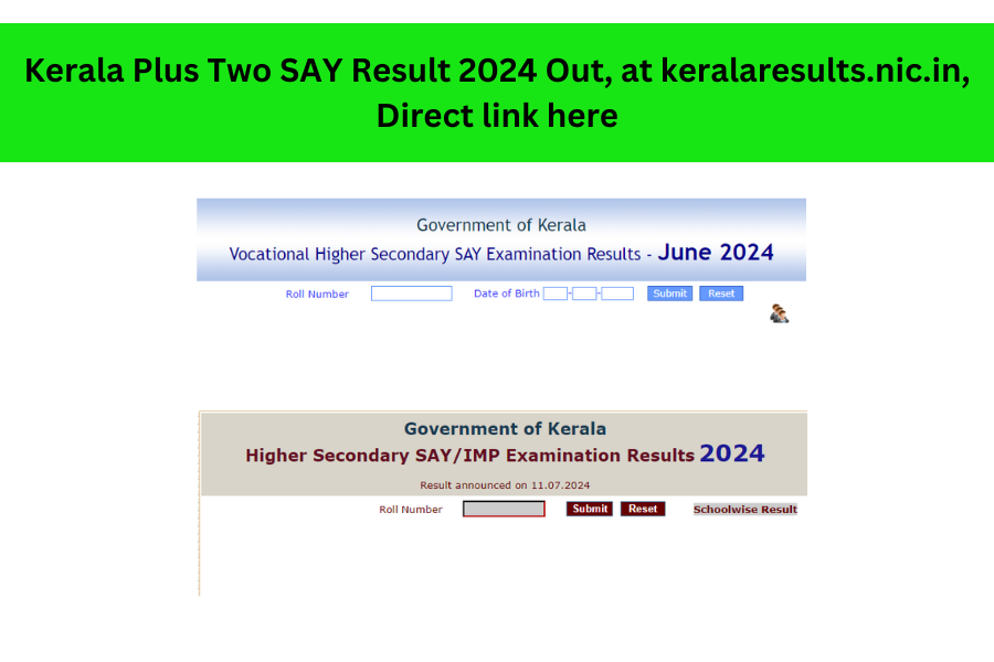 Kerala Plus Two SAY Result 2024 Out