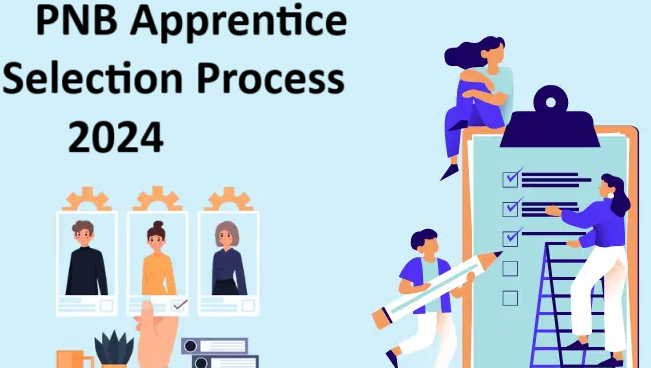 PNB Apprentice Selection Process 2024