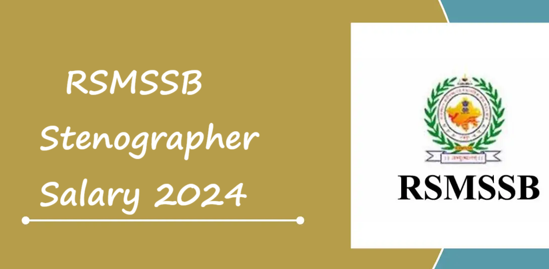 RSMSSB Stenographer Salary 2024