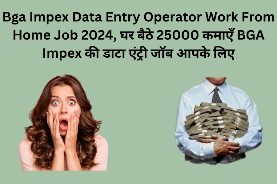 Bga Impex Data Entry Operator Work From Home Job 2024, घर बैठे 25000 कमाएँ BGA Impex की डाटा एंट्री जॉब आपके लिए