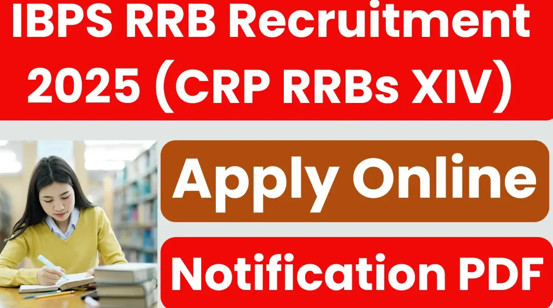 IBPS RRB Recruitment 2025 (CRP RRBs XIV): Apply Online for 13299 Posts